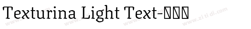 Texturina Light Text字体转换